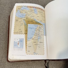 New Living Translation Study Bible Personal Size Edition Leatherlike Brown