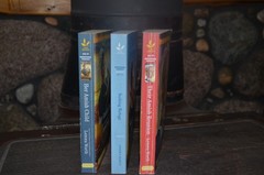 LOT 3 AMISH LOVE INSPIRED INSPIRATIONAL ROMANCE BOOKS BY LENORA WORTH P.B.