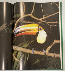 Tropical Rainforests of the World Rupert Matthews Nature Wildlife Photography