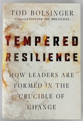 2 Christian Books Lot Tempered Resilience; Hinge Moments; Bolsinger/Lindsay