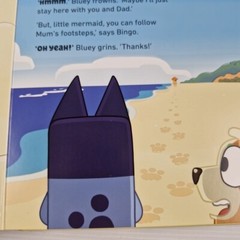 Bluey 4 Book Bundle The Creek, The Beach, Fruit Bat, Bob Bilby Hardcover