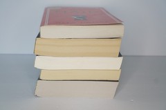 Thriller Book Lot 5 Mystery Shari Lapena Maid Appeal That’s Not My Name PB