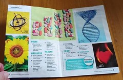 Lot of 3 PREVENTION Magazines August, December 2024 & March 2026 FREE US SHIP