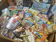 10 Pound Book Lot: Choose Your Genre-Fiction Nonfiction Kids Self-Help History