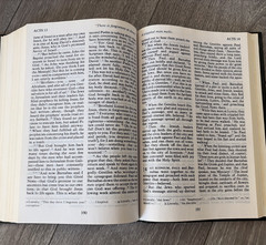 The Living Bible Large Print Edition Red Letter Holy Spiritual Book