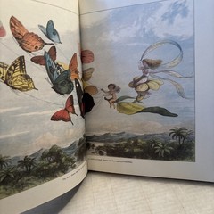 Doyle, Richard In Fairyland Pictures from the Elf-World Limited 1979 Illustrated