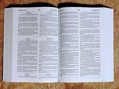 Russian/English Parallel Bible, Black Paperback, Synodal/King James Version