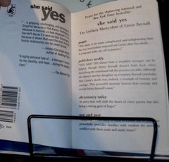 She Said Yes : The Unlikely Martyrdom of Cassie Bernall by Misty Bernall (2000,