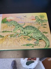 Discovering dinosaurs Book and 5 jigsaw puzzles