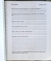 Suzanne Fower THE LIGHT WEIGH Workbook 2005