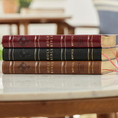 RSV2CE, Thinline Large Print Catholic Bible, Brown Leathersoft, Comfort Print