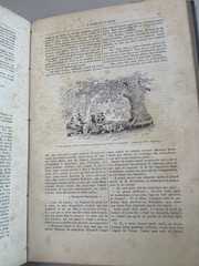 Antique Book „MUSÉE DES FAMILLES” From The Year 1888 Paris Bound Volumes Magazin