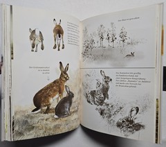Rien Poortvliet: … und jeder Fuchs hat seinen Bau, Kosmos 2001, HC