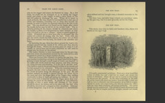 Camp Life in the Woods and the Tricks of Trapping and Trap Making -E-Book CD-ROM