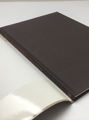 ZEN INK PAINTINGS: GREAT JAPANESE ART By Sylvan Barnet and William Burto 1982 HC