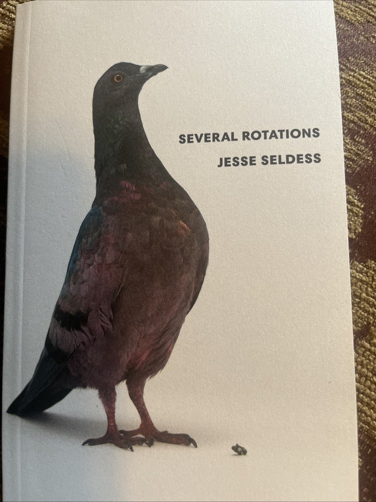 Several Rotations by Jesse Seldess (2019, Trade Paperback)