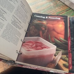 Better Homes and Gardens New Cook Book 1981 Cookbook Red Binder Vintage Read Des