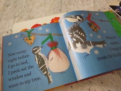 Lot Of 8 Lois Ehlert Picture Books Nature Fish Eyes Feathers For Lunch Snowballs
