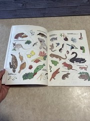 Vintage Australian Animals Sticker Fun Coloring Book 1983 New Unused