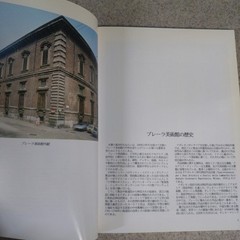 Brera Art Gallery books