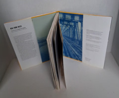 New York Rises: Photographs By Eugene de Salignac HC & DJ