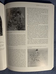 Islamic Art and Architecture, 650-1250 (Yale University 2001) Trade PB