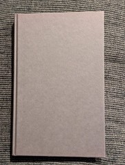 Global Capital, Human Needs & Social Policies (Ian Gough, 2000) *HARDCOVER Rare
