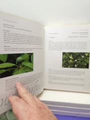 Herbal The Essential Guide to Herbs for Living Hardcover By Deni Bown 2001
