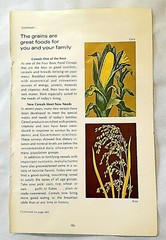 VINTAGE 1971 KELLOGG’S ALL-BRAN BRAN BUDS/ FLAKES COUPON $0.07 CENTS AND AD PAGE