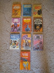 Vintage Sci-Fi Fantasy Large Paperback Book Lot Of 55 Daw,Ace,Ballantine Pyramid