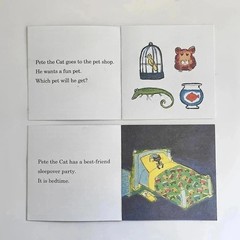 Pete the Cat I Can Read Phonics Kids Decodable Books Lot 12