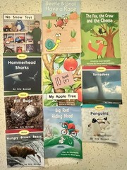 60 RR Books F&P Text Level decodable Leveled (A-F) Readers Lot, Paperback