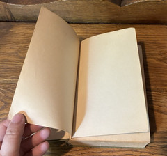 Vintage 1922 The Parlor Begat Amos by Arthur Hildebrand HC Ex-Library Book