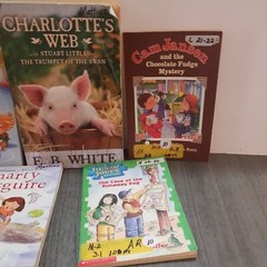 Lot of 10 Mixed Random Children’s Books and Young Adult Novels, Classic Stories