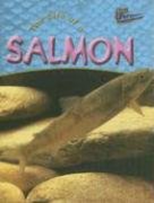 The Life of a Salmon Hardcover Clare Hibbert