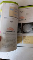 Principles of Radiographic Imaging Carlton Adler 2018 6th Ed Cengage Loose Leaf