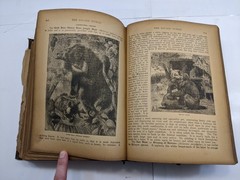 The Savage World A Complete Natural History J.W. Buel (1891, HC) 1st Eds Book