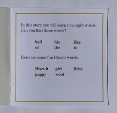 Biscuit Phonics Children’s Books Beginning Readers Kindergarten 1st Grade Lot 24