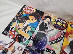 Demon Slayer Kimetsu No Yaiba Lot 6 Vol 1, 6, 8, 9, 10 & Water & Flame Eng Manga