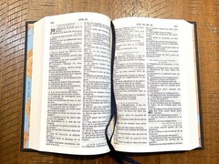 French Bible, La Sainte Bible – Segond 1910 Black Hardcover, Handheld Red Letter