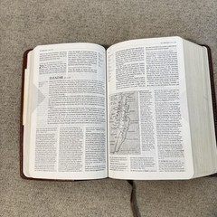 New Living Translation Study Bible Personal Size Edition Leatherlike Brown