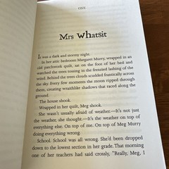 A Wrinkle in Time by Madeleine L’Engle (2007, Trade Paperback)