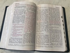 NIV Bible 1984 Large Print Reference Navy Bonded Leather Red Letter Text