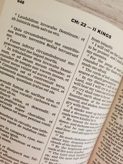 Bible Latin/English The Old Testament Volume 1 Vulgate & Challoner Rheims