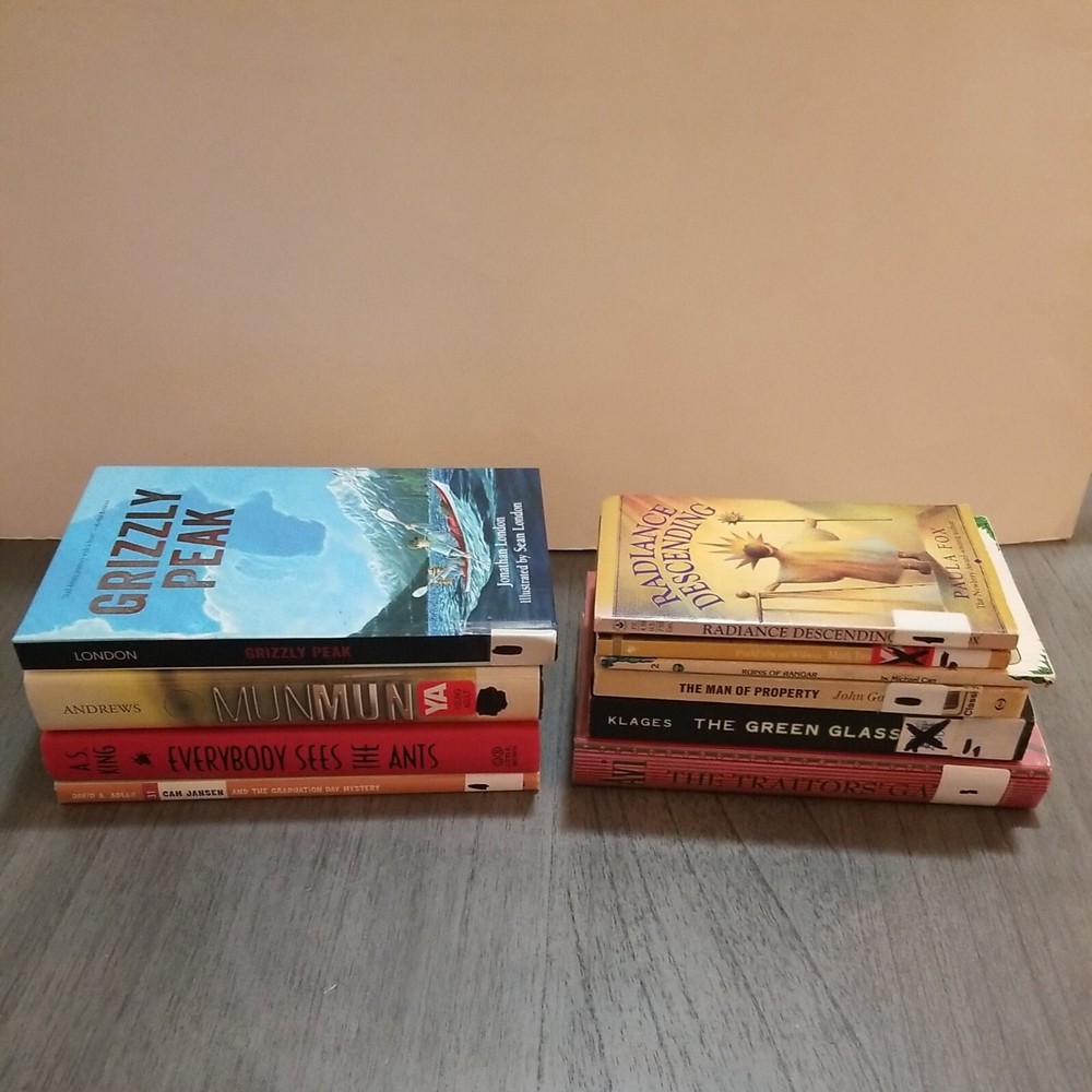 Lot of 10 Mixed Random Children’s Books and Young Adult Novels, Classic Stories