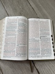 ✝️ CSB – Holy Bible LARGE PRINT Personal Size Reference Bible INDEXED Holman