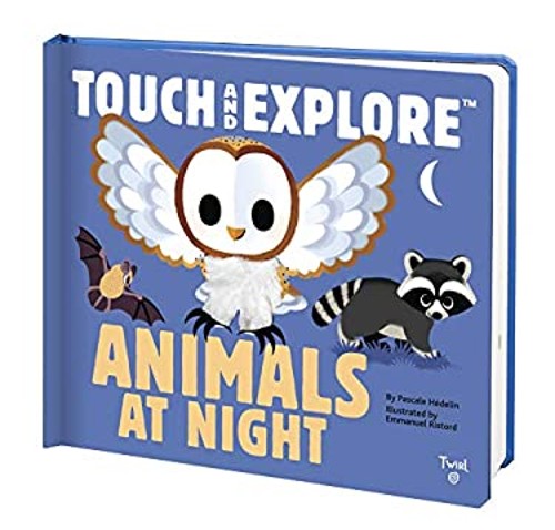 Touch and Explore: Animals at Night Hardcover Pascale Hedelin