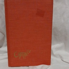 The Macmillan Company Captain Cat Robert Holles Hardcover 1960 First Printing