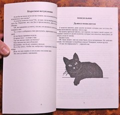 Книга Гэнки Кавамура Если все кошки в мире исчезнут Russian Book Genki Kawamura