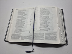 Zondervan Genuine Leather NIV Application Study Bible Navy Red Letter